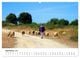 Thumbnail-13