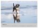 Thumbnail-9