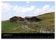 Thumbnail-11
