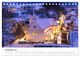 Thumbnail-14