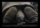 Thumbnail-12
