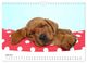 Thumbnail-10