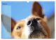 Thumbnail-12