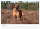 Thumbnail-10