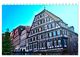 Thumbnail-14