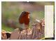 Thumbnail-10