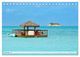 Thumbnail-14