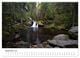 Thumbnail-11