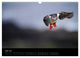 Thumbnail-12