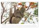 Thumbnail-7