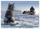 Thumbnail-10