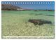 Thumbnail-10