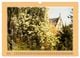 Thumbnail-10