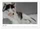 Thumbnail-11