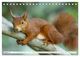 Thumbnail-10