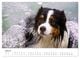 Thumbnail-12
