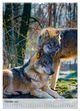 Thumbnail-14
