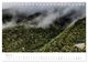 Thumbnail-10