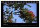 Thumbnail-13
