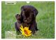Thumbnail-10