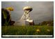 Thumbnail-12