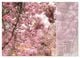 Thumbnail-13