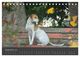 Thumbnail-14