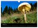 Thumbnail-10