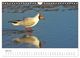 Thumbnail-11
