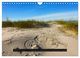 Thumbnail-14