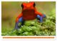 Thumbnail-11