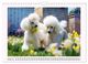 Thumbnail-12