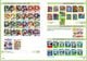 Thumbnail-12