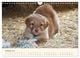Thumbnail-12