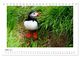Thumbnail-8
