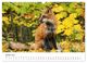 Thumbnail-12