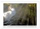 Thumbnail-13