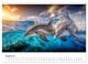 Thumbnail-10