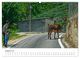 Thumbnail-10