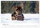 Thumbnail-14