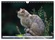 Thumbnail-9