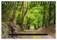 Thumbnail-8
