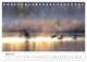 Thumbnail-9