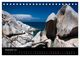 Thumbnail-14
