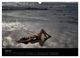 Thumbnail-12