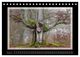 Thumbnail-13