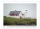 Thumbnail-11