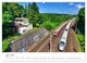 Thumbnail-11