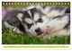 Thumbnail-8