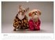 Thumbnail-9
